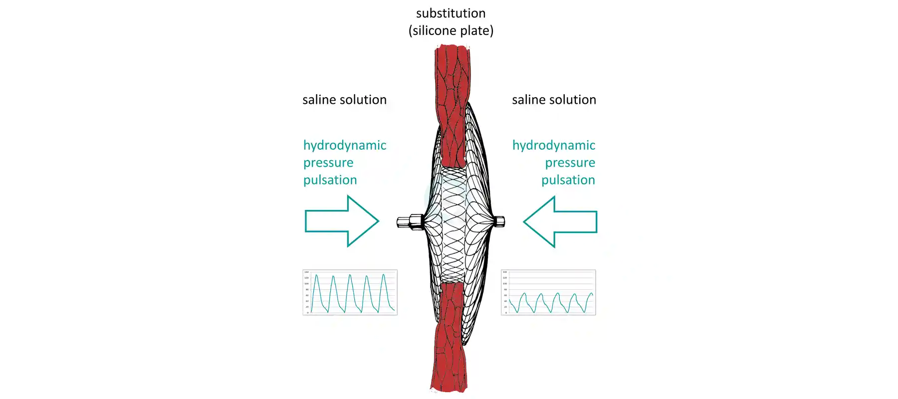Occluder pulsatile test principle ISO 22679